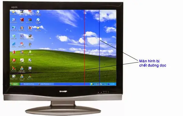 Sá»c Màn Hình Do Lá»i Vga