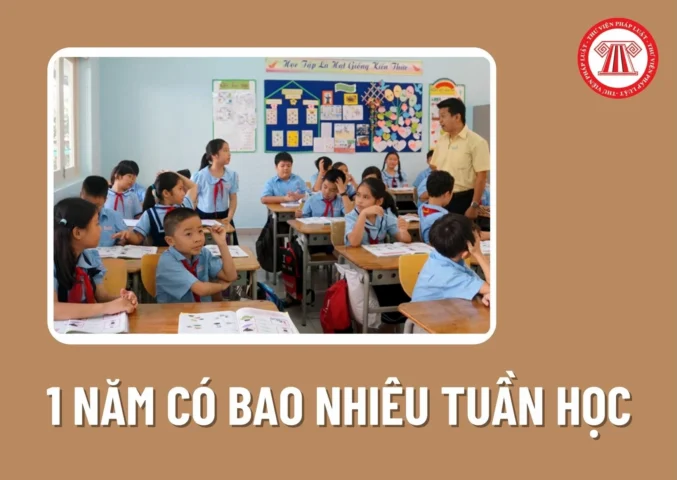 1 Năm Học Có Bao Nhiêu Tuần? Giải Đáp Chi Tiết 2026