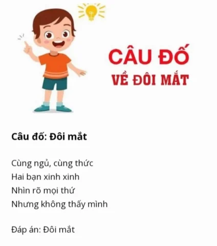 100 Câu Đố Vui Hài Hước: Thử Thách Trí Tuệ Cùng Niềm Vui Bất Tận 2026