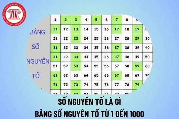 1 có phải số nguyên tố không? Giải đáp chi tiết nhất 2026 Bảng liệt kê các số nguyên tố từ 1 đến 1000