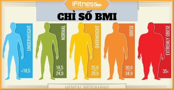 Chỉ số BMI Bình Thường: Hướng dẫn chi tiết 2026 Biểu đồ minh họa các mức độ BMI khác nhau