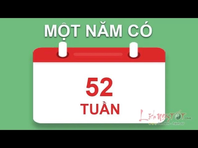 Biểu đồ minh họa số tuần trong năm