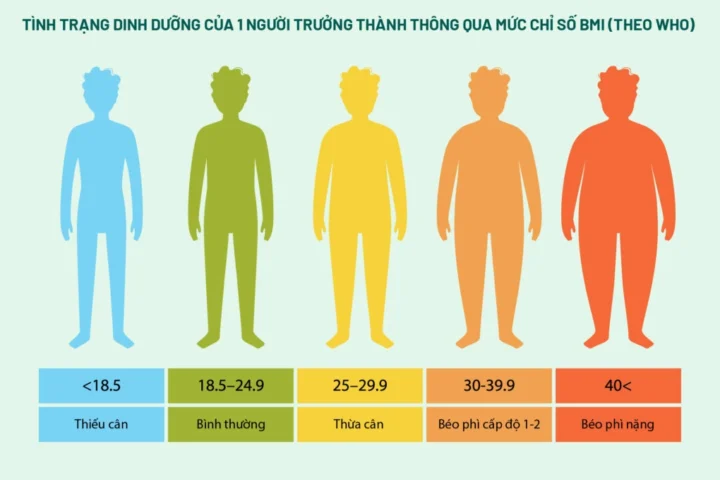 Biểu đồ phân loại tình trạng dinh dưỡng theo BMI