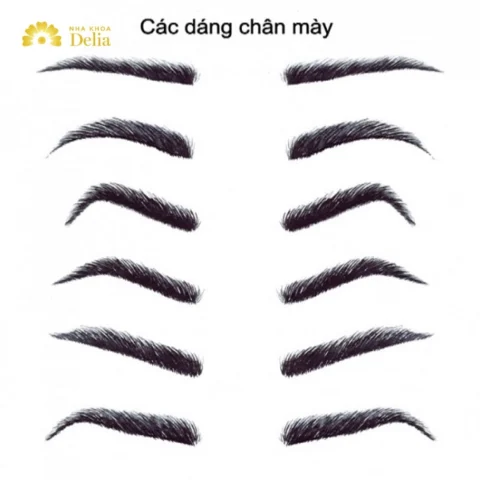 Các Kiểu Lông Mày Đẹp Chuẩn Xu Hướng 2026 Các kiểu lông mày phổ biến