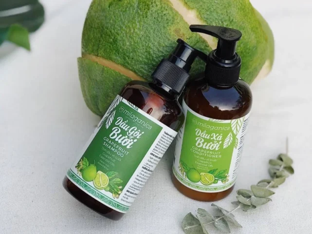 Các loại dầu gội kích thích mọc tóc hiệu quả