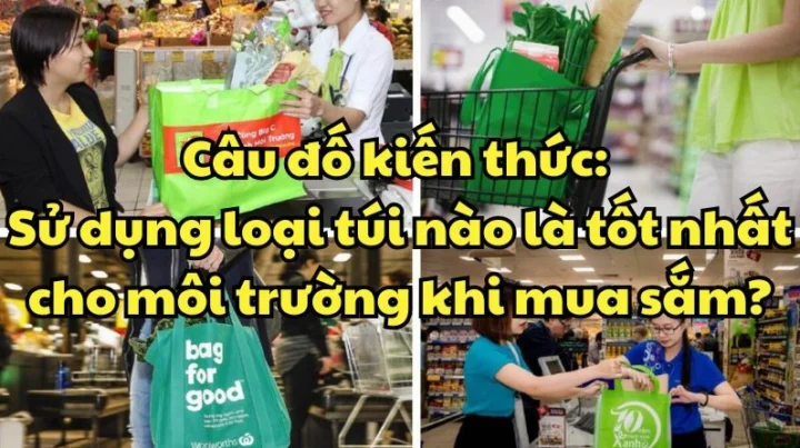 Câu đố kiến thức: Túi nào tốt nhất cho môi trường khi mua sắm? Các loại túi mua sắm khác nhau xếp chồng lên nhau