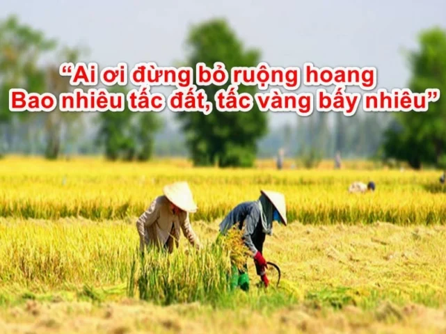 Ca dao về quê hương: Lời ru của đất mẹ Việt Nam Cảnh làng quê yên bình