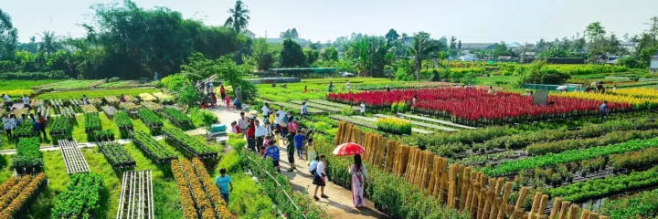 Cảnh quan thiên nhiên Đồng Tháp