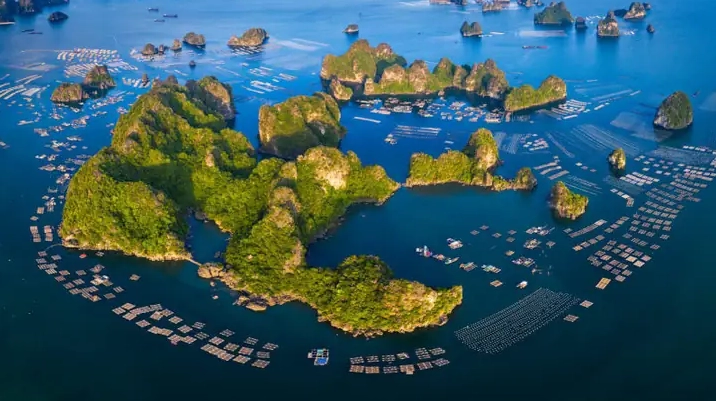Cảnh quan thiên nhiên tươi đẹp trên một hòn đảo của Việt Nam