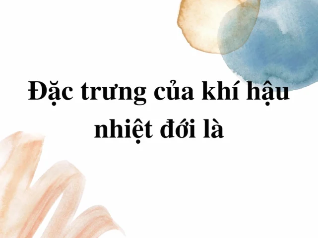 Cảnh quan vùng nhiệt đới với cây cối xanh tươi