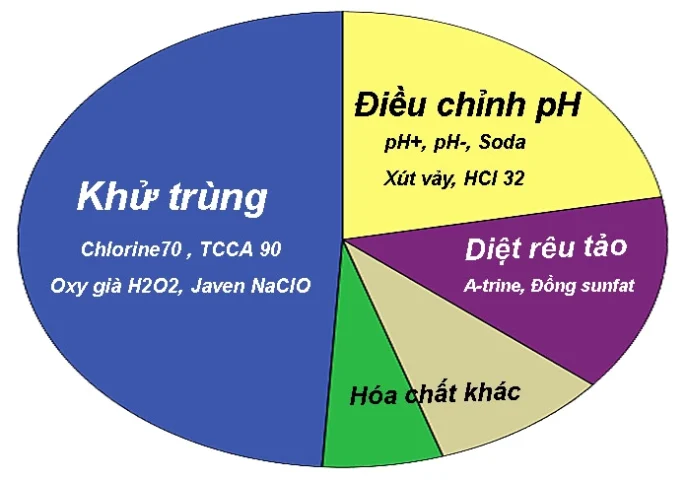Câu đố kiến thức: Chất nào khử trùng nước bể bơi hiệu quả nhất?