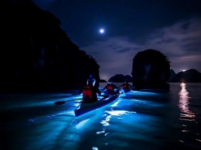 Con lân tinh tươi sống trên rổ