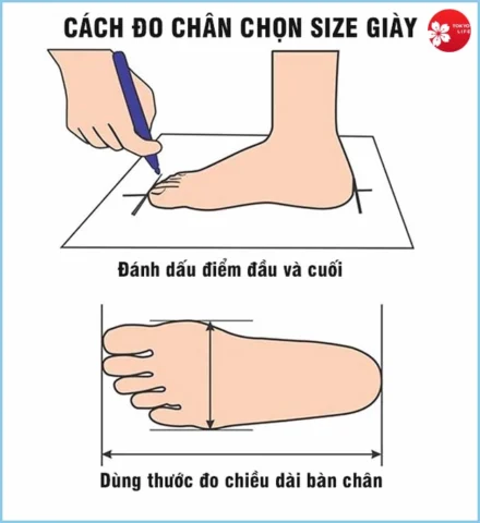 Bí quyết Cách Đo Chiều Dài Chân Chuẩn Xác Tại Nhà Dùng thước đo chiều dài chân trên giấy