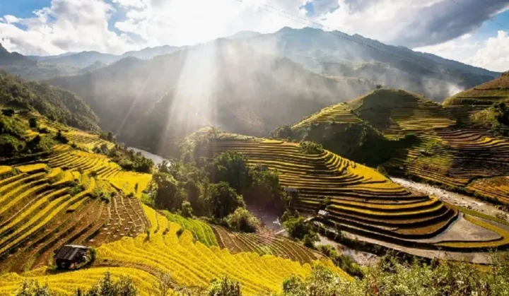 Khám phá Điểm Du Lịch Yên Bái Đẹp Hút Hồn 2026 Đền Trúc Lâm Yên Bái