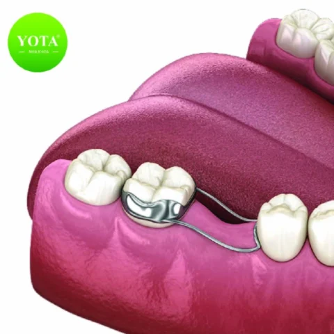 Hình ảnh biểu tượng của sự thông minh và sáng tạo