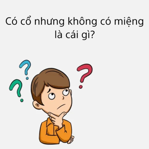 Đố vui: Có cổ nhưng không có miệng là gì? Hé lộ đáp án bất ngờ! Hình ảnh minh họa cho câu đố vui