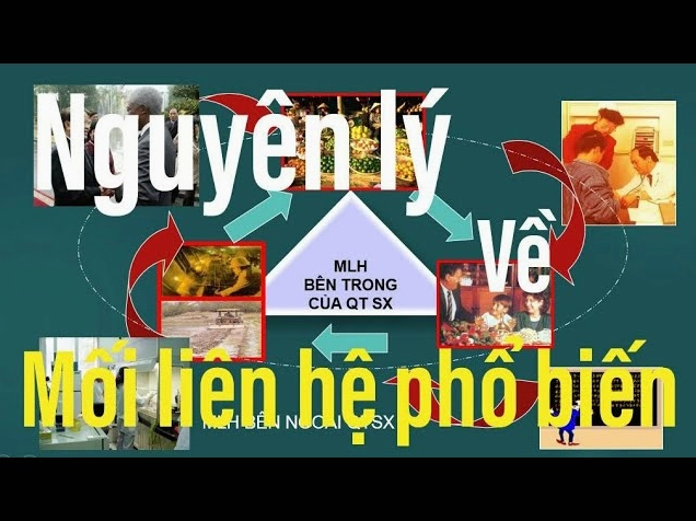 Phổ Biến Là Gì? Giải Mã Khái Niệm Từ A-Z (2026) Hình ảnh minh họa mối liên hệ và sự phổ biến