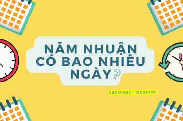 1 Năm Nhuận Có Bao Nhiêu Ngày? Giải Đáp Chi Tiết Từ A-Z Hình ảnh minh họa ngày 29 tháng 2 trong năm nhuận