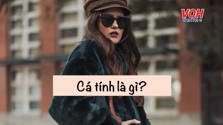 Cá Tính Là Gì? Khám Phá Bản Chất Độc Đáo Của Bạn Hình ảnh thể hiện sự đa dạng của các cá tính