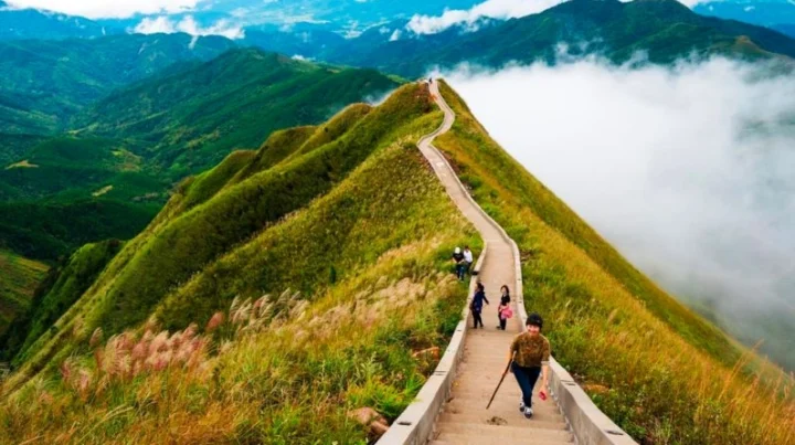 Điểm Du Lịch Quảng Ninh: Khám Phá Thiên Đường Biển Đảo 2026 Hoạt động vui chơi trên đảo Tuần Châu