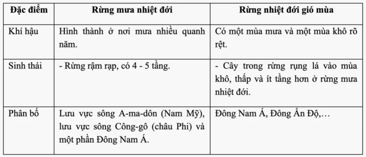 Khám Phá Đặc Điểm Rừng Nhiệt Đới - Lá Phổi Xanh Của Trái Đất