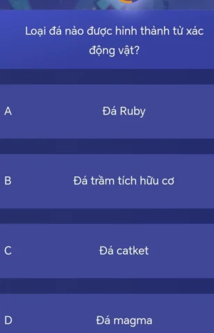 Loại Đá Nào Được Hình Thành Từ Xác Động Vật?