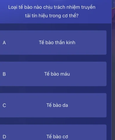 Loại tế bào nào chịu trách nhiệm truyền tải tín hiệu trong cơ thể?
