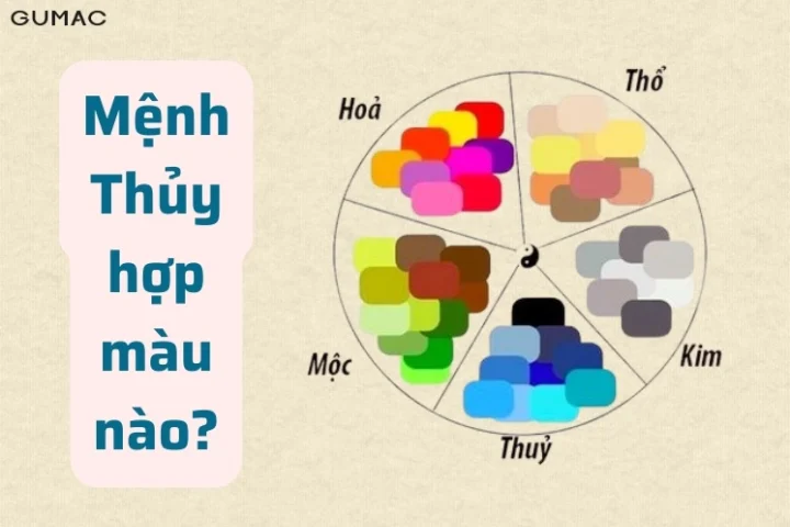 Nữ Mệnh Thủy Hợp Màu Gì? Chọn Màu Theo Phong Thủy 2026 Màu xanh dương và đen hợp nữ mệnh Thủy