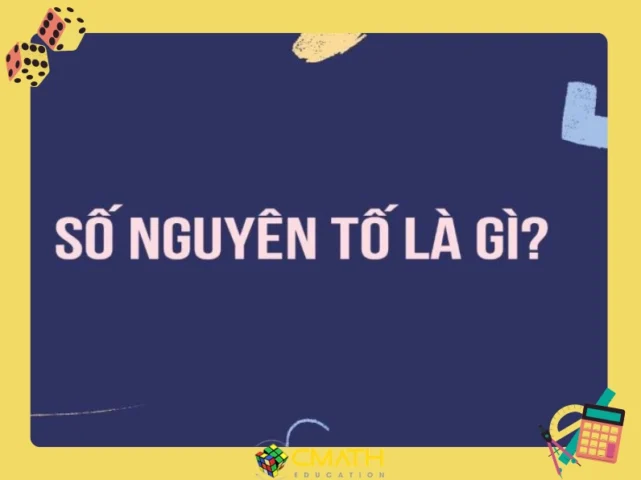 1 có phải số nguyên tố không? Giải đáp chi tiết nhất 2026 Minh họa các số nguyên tố và hợp số