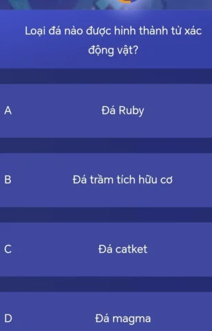 Loại Đá Nào Được Hình Thành Từ Xác Động Vật? Mô tả hóa thạch khủng long