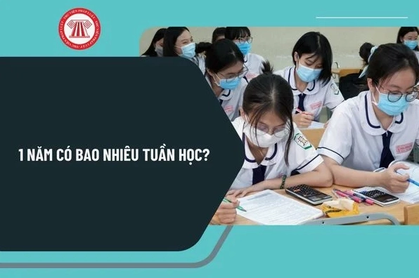 1 Năm Học Có Bao Nhiêu Tuần? Giải Đáp Chi Tiết 2026 Một năm có bao nhiêu tuần học?