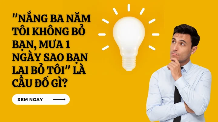 Nắng lửa mưa dầu: Hiểu câu nói, tìm bạn tri kỷ