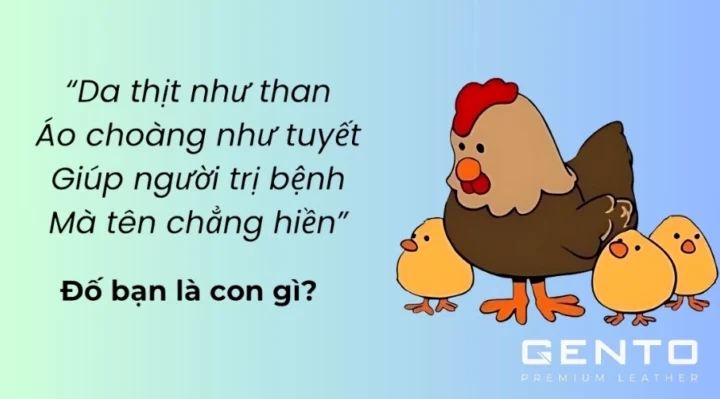 100 Câu Đố Vui Hài Hước: Thử Thách Trí Tuệ Cùng Niềm Vui Bất Tận 2026 Những câu đố vui và đáp án