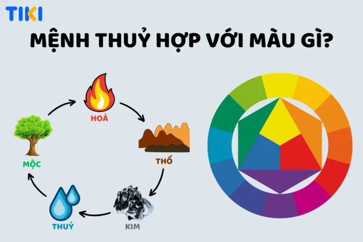 Nữ Mệnh Thủy Hợp Màu Gì? Chọn Màu Theo Phong Thủy 2026 Nữ mệnh Thủy nên tránh màu đỏ, tím, vàng đất
