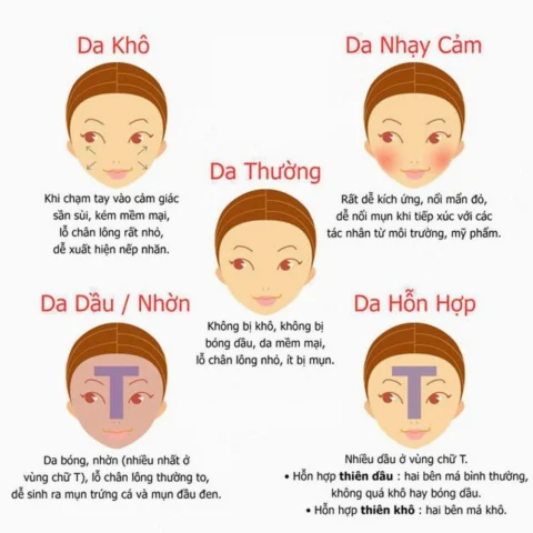 Phân biệt các loại da
