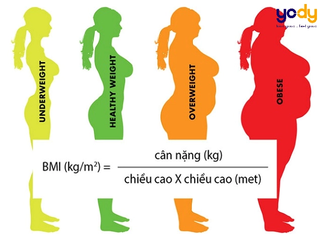 Phụ nữ 1m58 với vóc dáng cân đối
