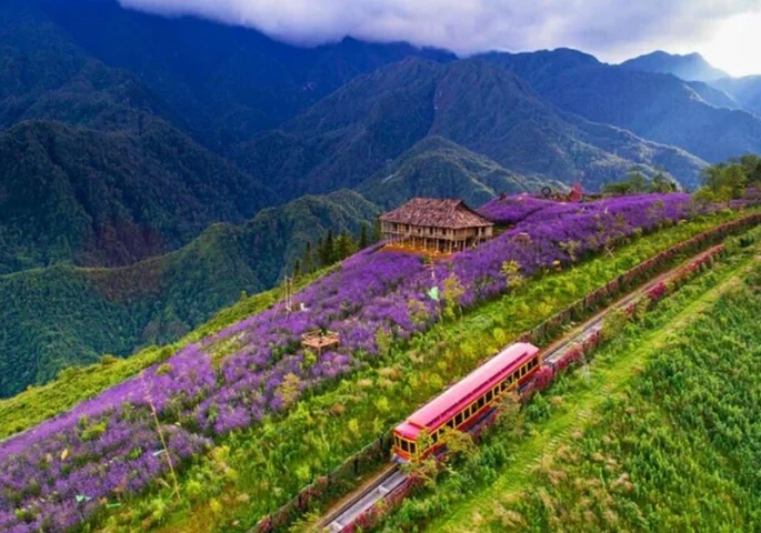 Ruộng bậc thang mùa lúa chín ở thung lũng Mường Hoa