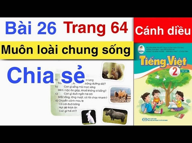 Giải mã: Con gì mũi mọc sừng, mặc áo giáp khỏe không ai bằng? Tê giác với lớp da dày như áo giáp