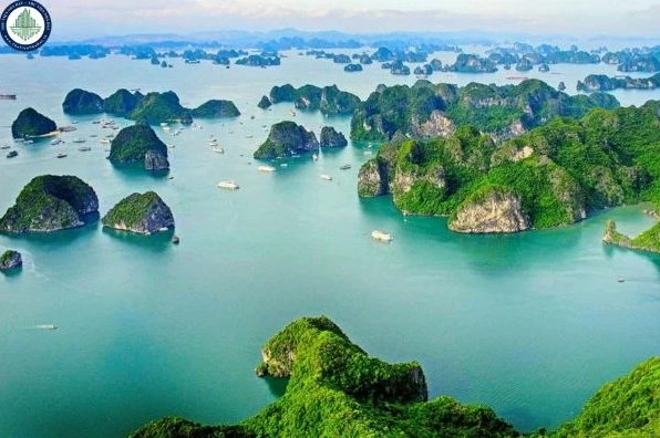 Vịnh Hạ Long thuộc khu vực biển nào của Việt Nam? Toàn cảnh Vịnh Hạ Long hùng vĩ