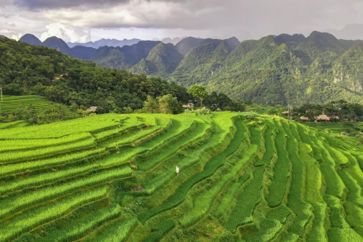 Vẻ đẹp của suối cá thần Cẩm Lương