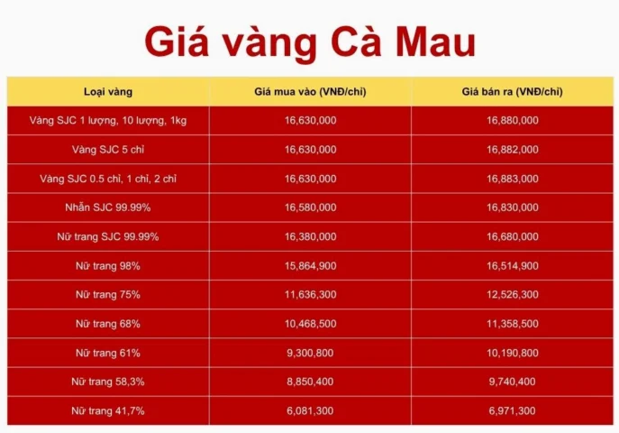 Giá vàng Hội Kim Hoàn Cà Mau hôm nay: Dự báo 2026 & Phân tích chuyên sâu Bảng giá vàng tham khảo tại Cà Mau theo phân loại