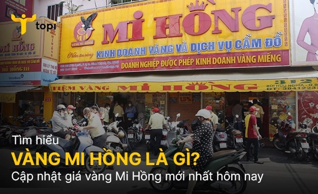 Giá Vàng Mi Hồng Sáng Nay 2026: Cập Nhật Mới Nhất & Phân Tích Biểu đồ giá vàng biến động