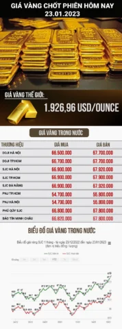 Giá Vàng 96 Tại Nha Trang Hôm Nay: Cập Nhật & Dự Báo 2026 Biểu đồ giá vàng trong ngày