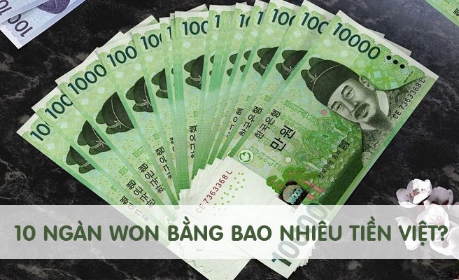 10000 Won Bằng Bao Nhiêu Tiền Việt 2026? Cập Nhật Mới Nhất! Minh họa quy đổi 10000 Won sang VND