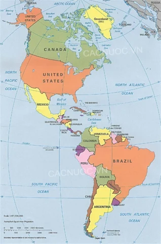 Đội tuyển bóng đá Brazil ăn mừng chiến thắng