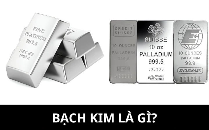 Giá Bạch Kim Hôm Nay: Cập Nhật Mới Nhất 2026 Tìm hiểu về bạch kim
