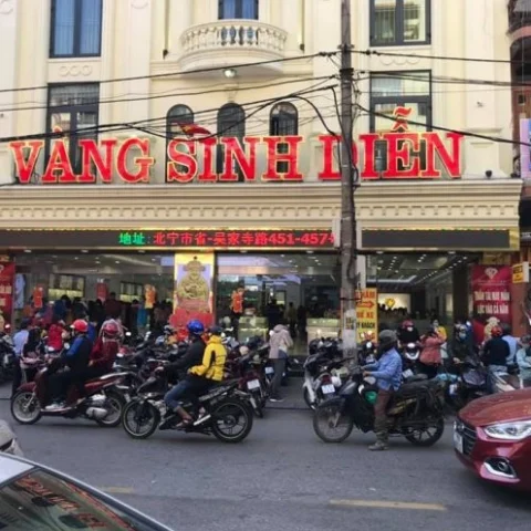 vang-sinh-dien-2026-du-bao-gia-xu-huong-va-chien-luoc-au-tu_584